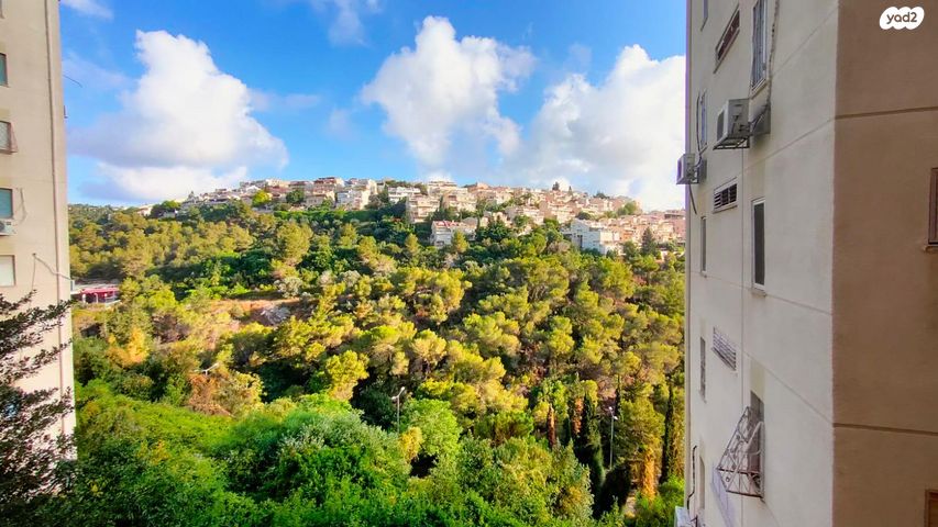 קרן היסוד 48