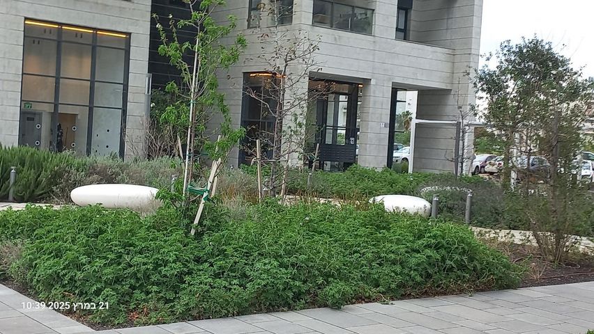 נורית הירש 11