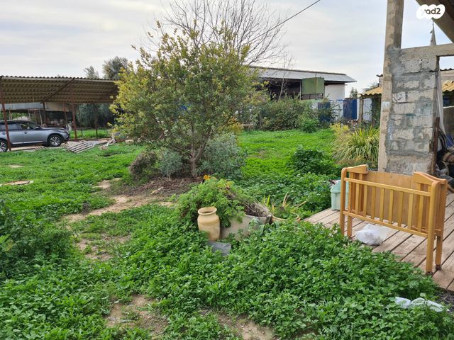 משק חקלאי/ נחלה, 2544 1, ברוש, ברוש