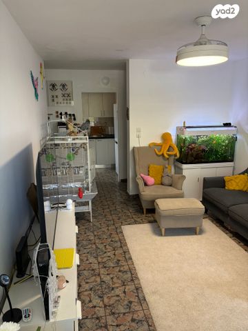 דירה, ארבע ארצות 18, ג'סי כהן, חולון