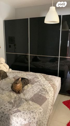 דירה, הרב יצחק נסים 73, חומת שמואל, הר חומה, ירושלים