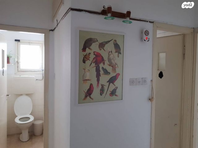 דירה, מלצ'ט 1, הדר מרכז, חיפה