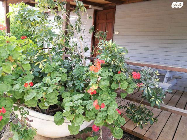 יחידת דיור, ארבל 86, כחל, כחל