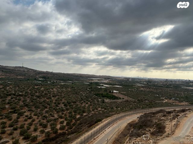 דירה, כלנית 1, צופים, צופים