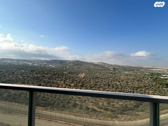 דירה, כלנית 1, צופים, צופים