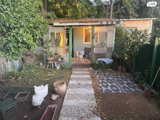 דירת גן, האילנות 6, כפר סירקין, כפר סירקין