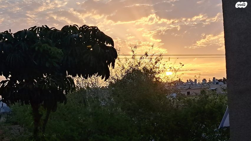 ההסתדרות 116