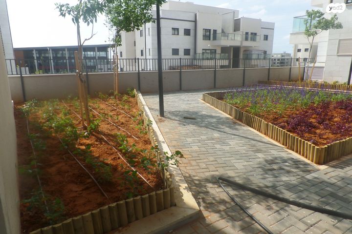 דירה, ספיר 26, אבני חן, חריש