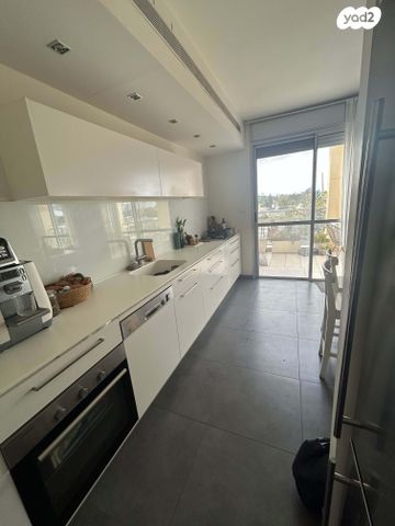 גג/ פנטהאוז, אלכסנדר פן 4, תל ברוך צפון, תל אביב יפו