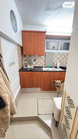 דירה, סמטת נס ציונה, לב תל אביב, לב העיר צפון, תל אביב יפו