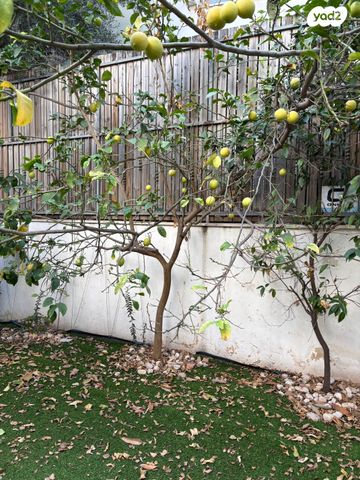 דירת גן, גני צהלה, רמות צהלה, תל אביב יפו