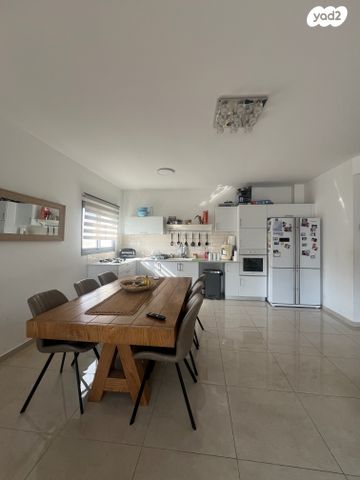 מיכאל הנגבי 