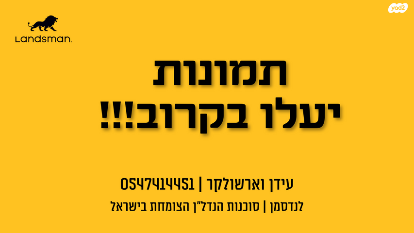 ירושלים 3