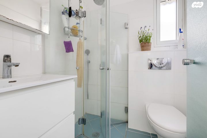 דירה, רחבעם זאבי, לב המושבה, נס ציונה