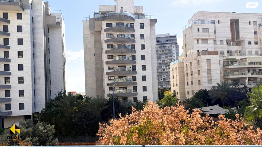 דירה, כרמל, אחוזת הנשיא, רחובות