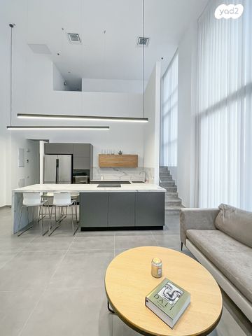 דופלקס, שדרות לוי אשכול, כוכב הצפון, תל אביב יפו