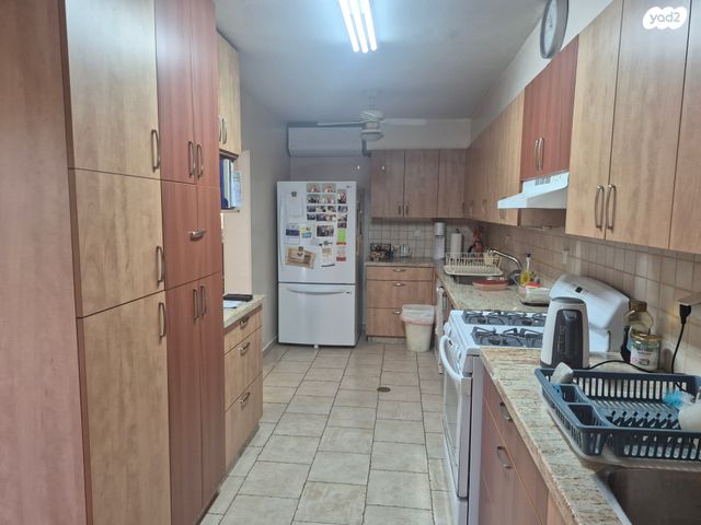 קרית אריה / שיינפלד