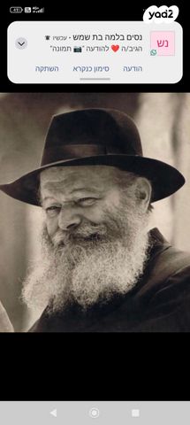 בית פרטי/ קוטג', לסטר/רבוצקי, רעננה