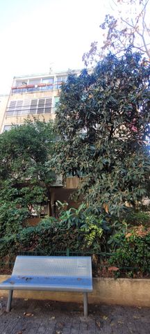 דירה, דוד וולפסון 49, רמז, מערב ותיק, ראשון לציון