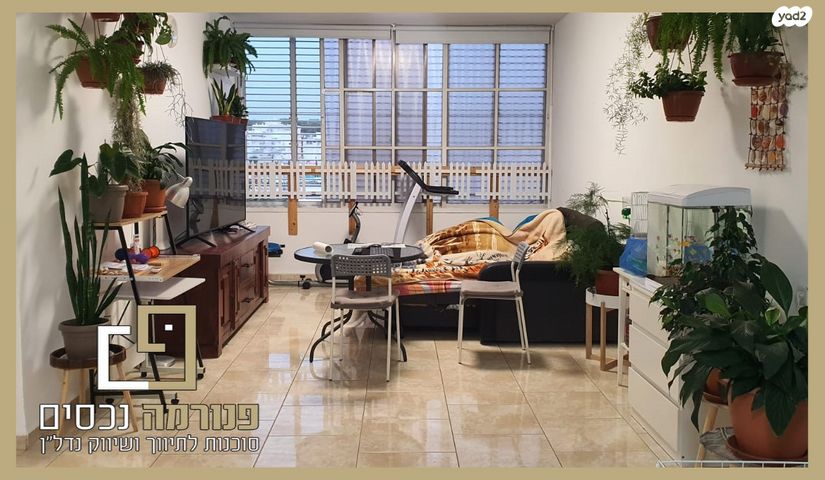 דירה, נהריה