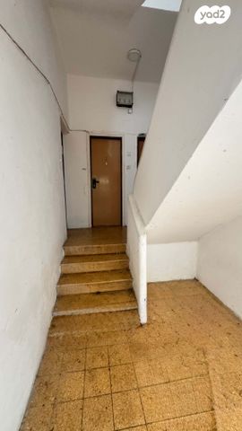 דירה, מסדה, מסדה, חיפה