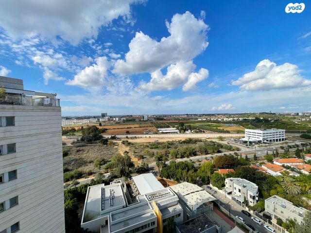 דירה, ציפורה טוב, נווה יהודה, רחובות