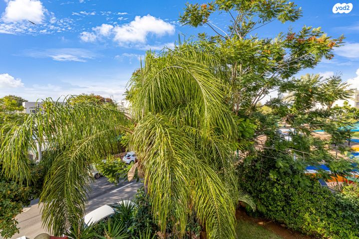 דירה, רחבעם זאבי, לב המושבה, נס ציונה