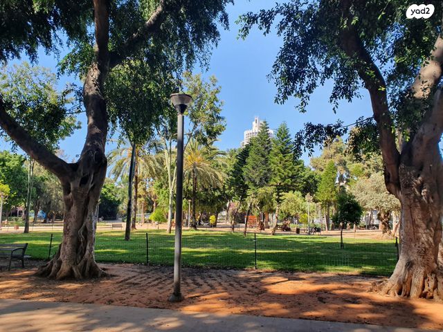 דירה, הצפון הישן - דרום, תל אביב יפו