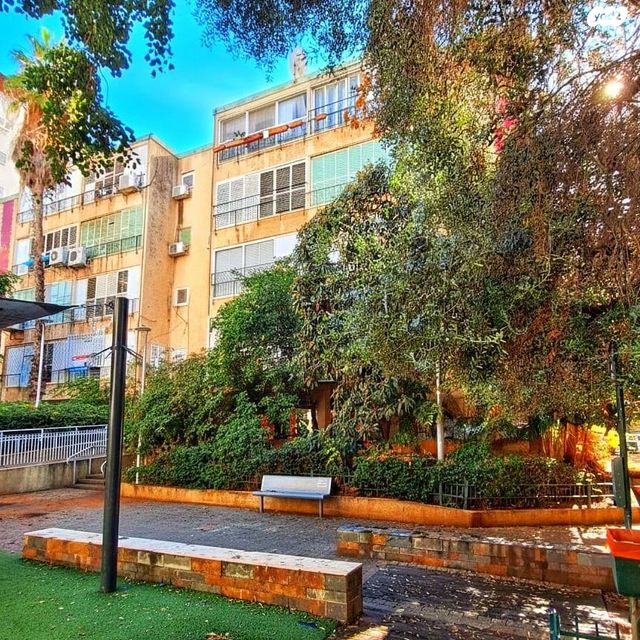 דוד וולפסון 49