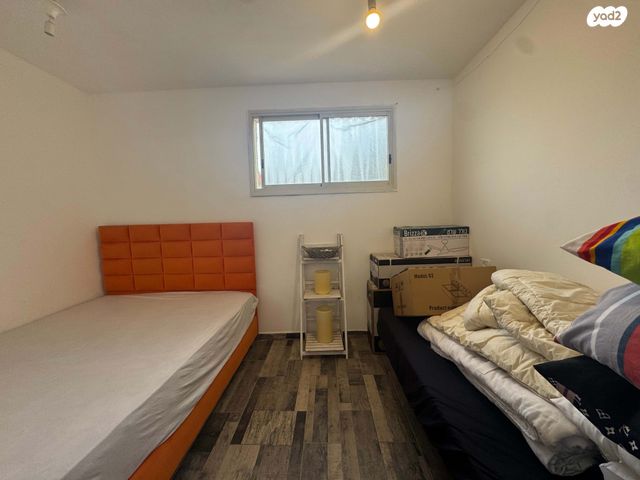 דירה, נתן אלבז, הראשונים, שלומי