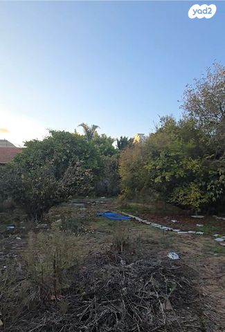 מורדי הגטאות 