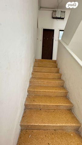 דירה, מסדה, מסדה, חיפה