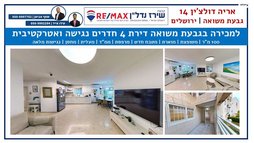 אריה דולצ'ין 14