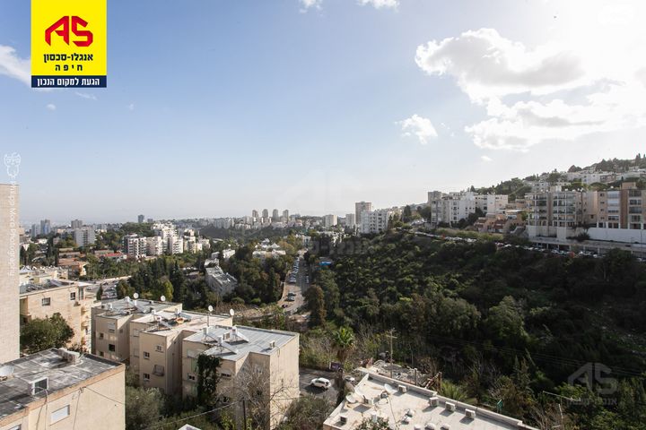 דירה, בנימין ד'ישראלי, אחוזה, חיפה