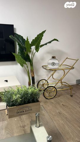 דירה, הר המור, ראש העין