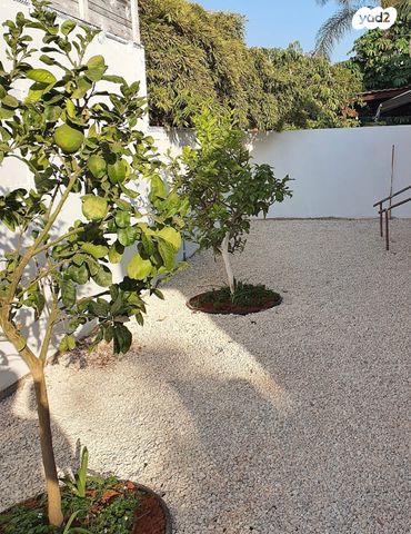 בית פרטי/ קוטג', ראשונים, ראשון לציון