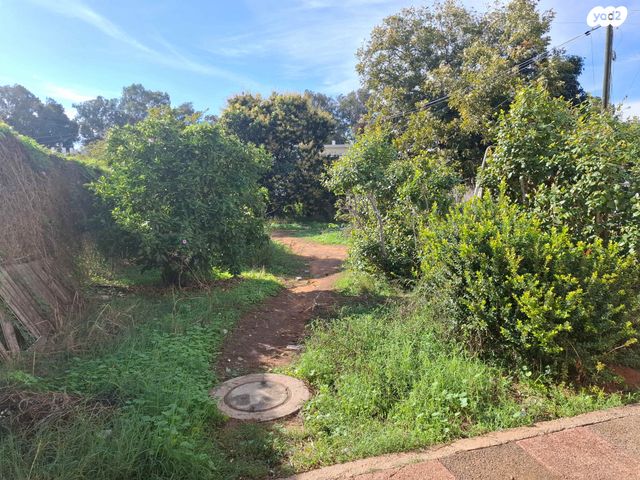 דירה, מורשה, רמת השרון