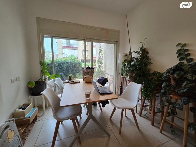 דירת גן, כ"ט בנובמבר, הרצליה הירוקה, נווה עובד, הרצליה