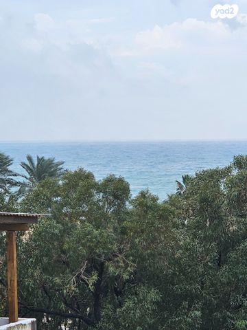 דירה, נווה דוד, חיפה