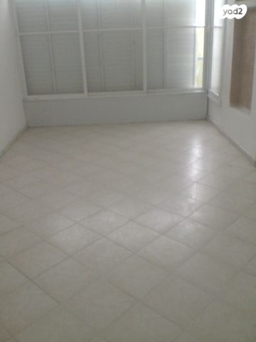 דוד פרנקפורטר 