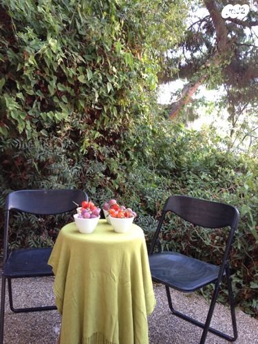 דירה, הס, הדר עליון, חיפה