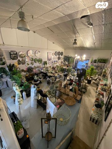 חנויות/ שטח מסחרי, גבעת ציון וגבעת הפרחים, אשקלון