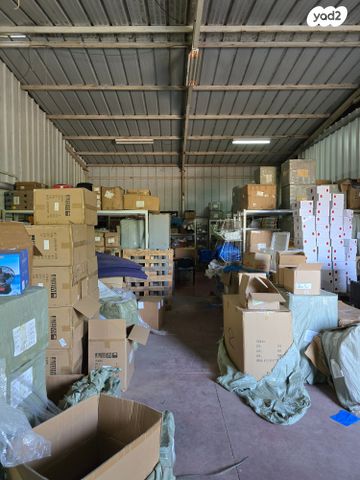 מחסנים, רינתיה