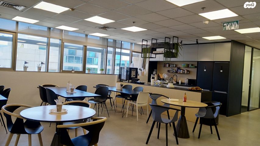 ראול ולנברג 