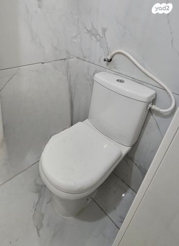 משרדים, יהודה לייב פינסקר, קרול, פתח תקווה