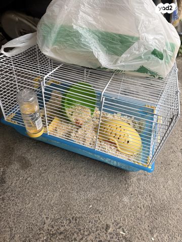 תמונת מודעה - חיות מחמד