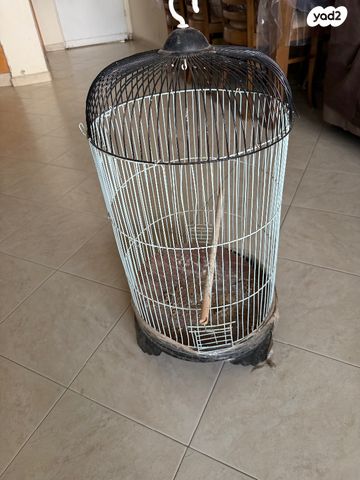 תמונת מודעה - חיות מחמד