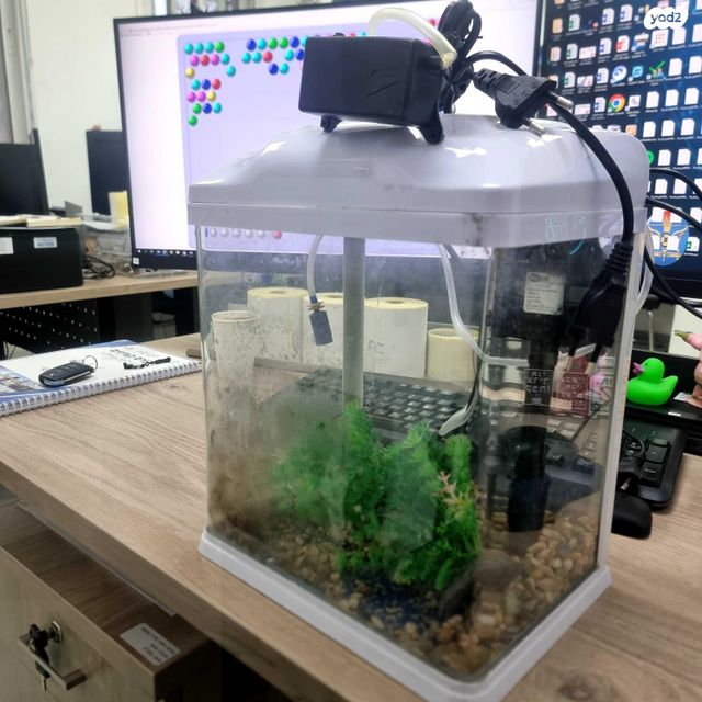 תמונת מודעה - חיות מחמד