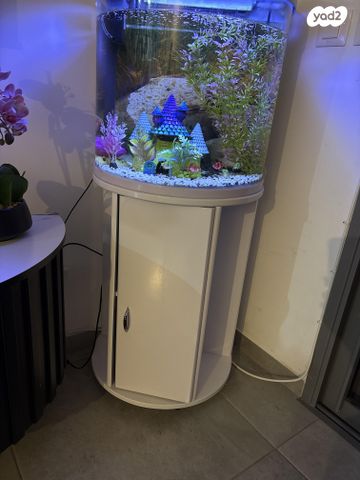 תמונת מודעה - חיות מחמד