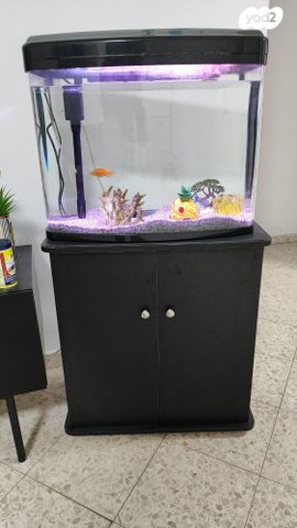 תמונת מודעה - חיות מחמד